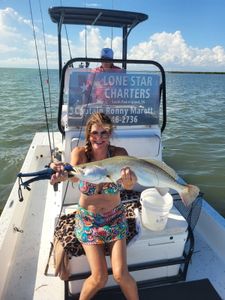 Spotted Weakfish caught while fishing at South Padre Island
