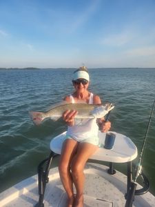 Spotted weakfish caught while fishing in TX