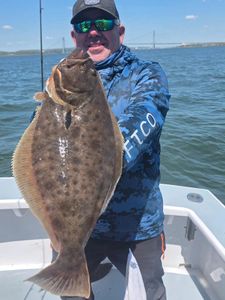 Large California flounder caught while fishing in New York City NY waters