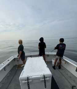 Picturesque cityscape of New York City