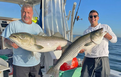 Striped bass fishing in NY