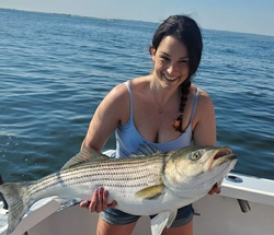 Angler holds a striped bass in NY