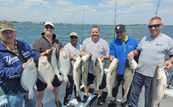 9 striped bass caught in New York City