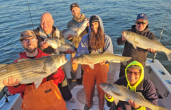 4 striped bass and flathead grey mullet fish caught in NY