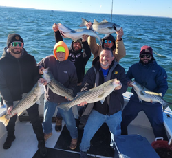 4 striped bass caught fishing in New York City
