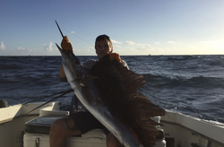 Photograph of an Atlantic Sailfish caught while fishing in Pompano Beach
