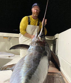 Swordfish caught fishing in FL