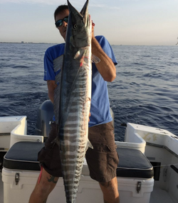 Wahoo fish caught in Pompano Beach while fishing