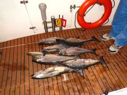 5 fishing in milwaukee