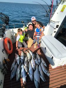 6 coho salmon and rainbow trout caught while fishing in WI