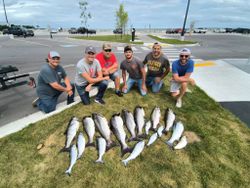 8 pink salmon and great barracuda fish caught during fishing in Milwaukee