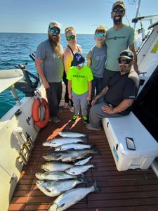 3 Chinook Salmon and Bluefish, fishing in WI
