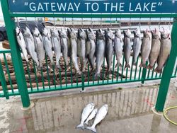 A fishing scene in Milwaukee, with 11 fish caught.