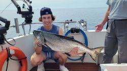 Chinook Salmon caught while fishing in Milwaukee