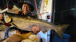 Chinook salmon caught in WI