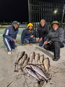 6 lake trout and burbot caught in WI