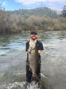 A Chinook Salmon, a large fish, caught by a person in Cottage Grove