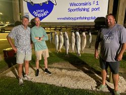 Three Chinook Salmon fish caught while fishing in WI