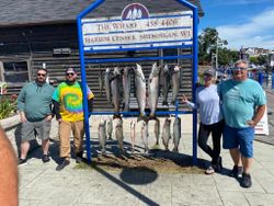 Two coho salmon and rainbow trout caught in Wisconsin