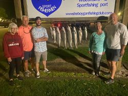 4 fish caught fishing in WI