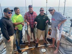 6 coho salmon caught in Sheboygan while fishing