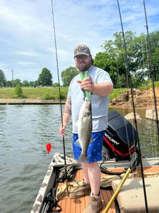 Striped Bass Adventures Await You