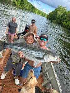 Roanoke River: Bass Haven