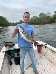 Roanoke River: Bass Paradise