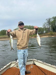 Discover Thrilling River Fishing