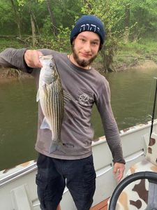 Striped Bass Fishing Dreams Come True.