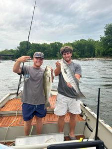 Chase Striped Bass in NC.