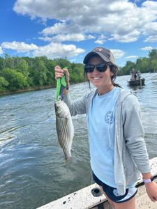 NC's Finest Bass Fishing Escapes.