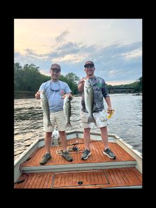 Striped Bass Galore in NC.