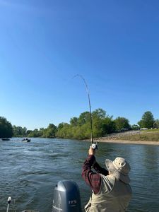 River Fishing Magic Unleashed Here