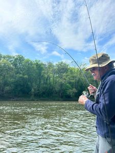 Explore North Carolina's Premier Charters.
