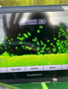 Angler fishing in Weldon