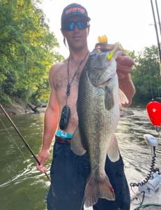 Largemouth Bass caught in NC