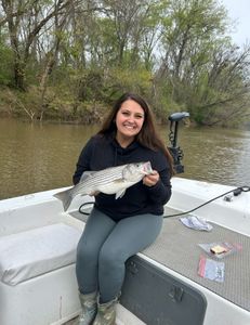 Striped bass caught while fishing in NC
