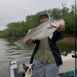 Striped bass caught while fishing in NC