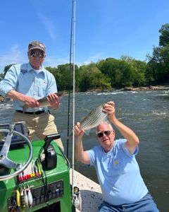 Striped bass caught while fishing in NC