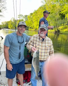 Striped bass caught in Weldon
