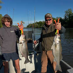 Two striped bass caught during a fishing trip in Weldon
