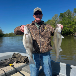 Two striped bass caught while fishing in North Carolina