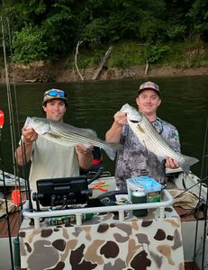 Two striped bass being held by two people in Weldon