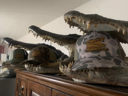 Best hunting in FL