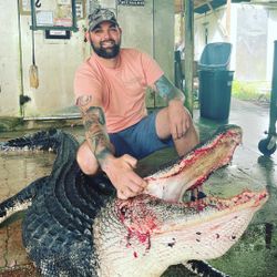 Person hunts for fish in Florida