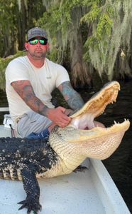 Lone hunter in Florida
