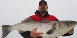 Huge Stripers Fishing in Cape Charles