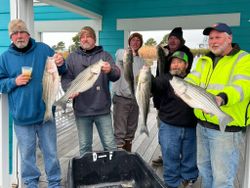 Everyone got their own Striped Bass. Good times!