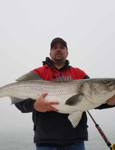 One angler fishing in Virginia